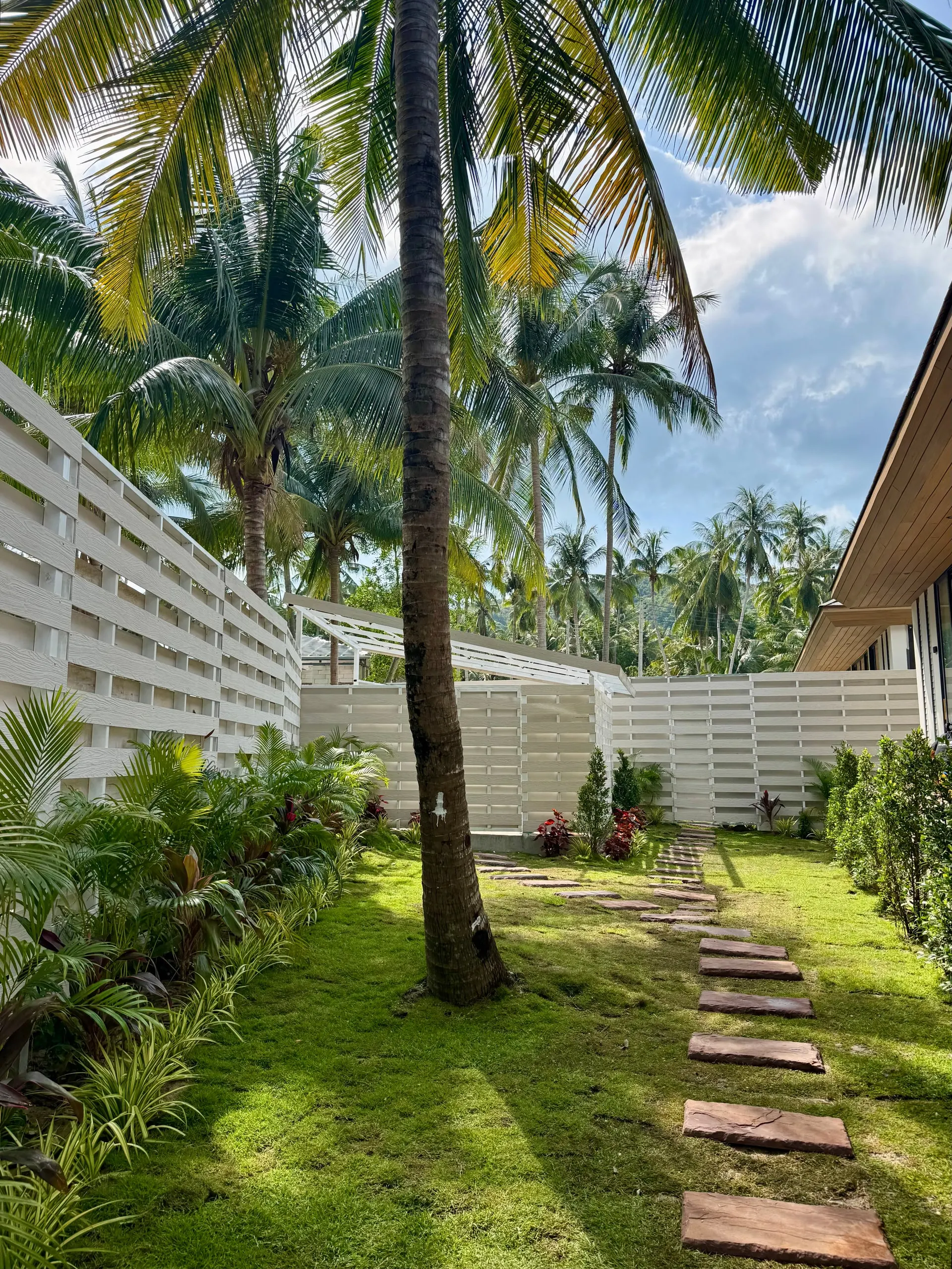 Villa II — garden lawn with a tall coconut palm and stepping stones