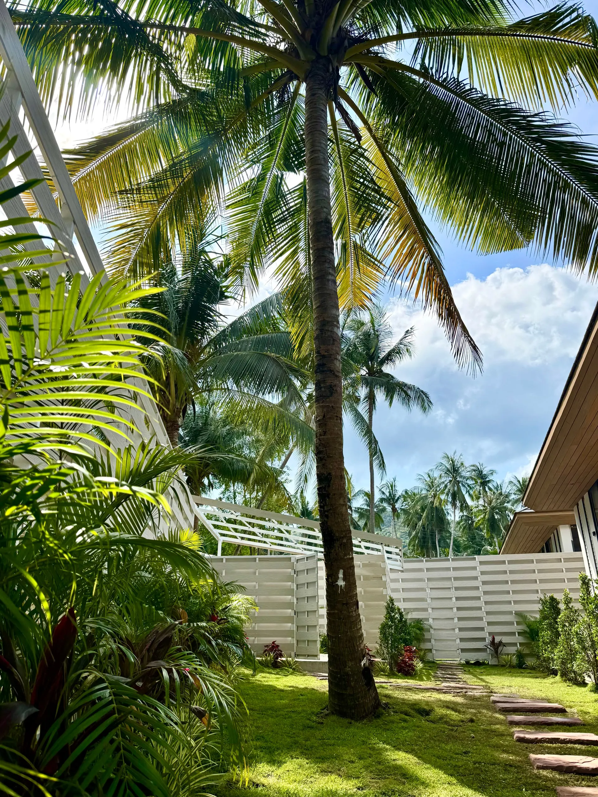Villa II — coconut palm overhead in the garden